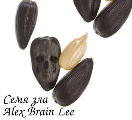 Brain Lee Alex -   01.  