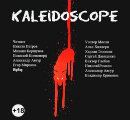 Kaleidoscope.  