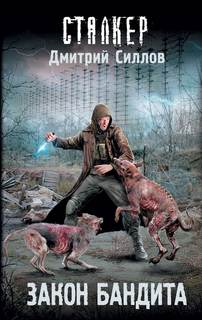 Силлов Дмитрий - Снайпер 31. Закон бандита (S.T.A.L.K.E.R.)