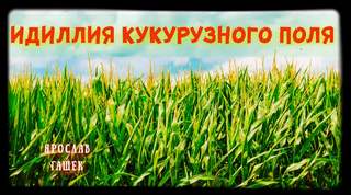 Гашек Ярослав - Идиллия кукурузного поля