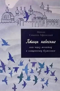 Симеон Афонский монах - Птицы небесные 02. Птицы небесные или через молитву к священному безмолвию. Том II