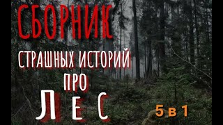 Сборник страшных историй про лес!