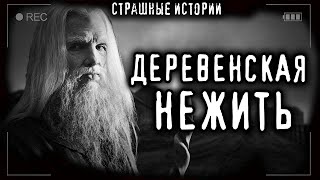 Цой Михаил - Огнь. Нежить. Грех