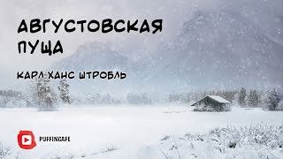 Штробль Карл - Августовская пуща