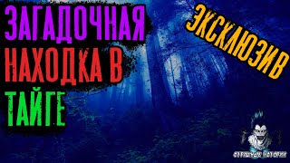 Загадочная находка в тайге