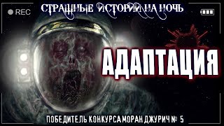МОНАРХI - Адаптация