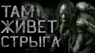 SMS - Там живет Стрыга