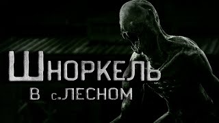 Шноркель в селе Лесное