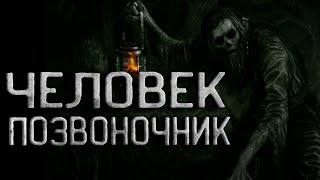 Человек Позвоночник