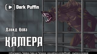 Кейз Джон - Камера