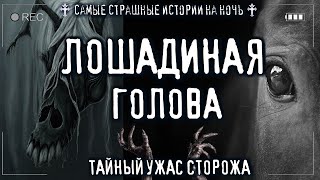 Sallivan - Ужас сторожа. Лошодиная голова