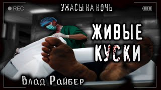 Райбер Влад - Живые куски