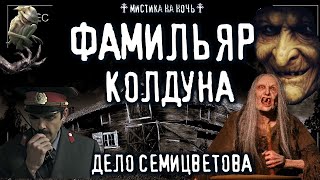 Фамильяр колдуна. Дело Семицветова