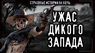 Disk D - Ужас дикого запада. Паддлсторм