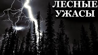 Лесные ужасы. Страшные истории про Лес (4в1)