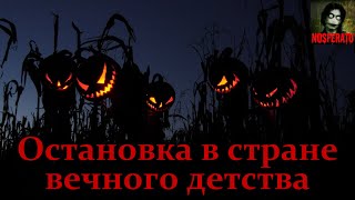 Райбер Влад - Остановка в стране вечного детства