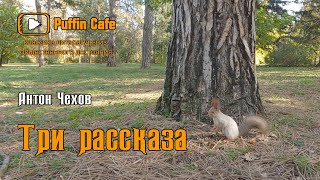 Чехов Антон - Три коротких смешных рассказа