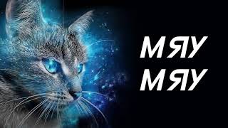 Мяу Мяу