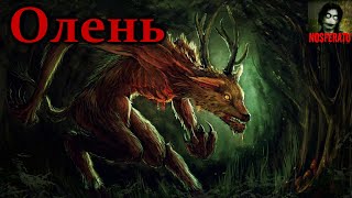 Шумилов Владимир - Олень