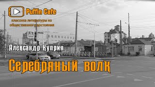 Куприн Александр - Серебряный волк