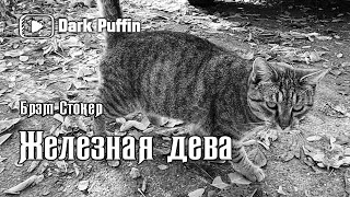 Стокер Брэм - Скво