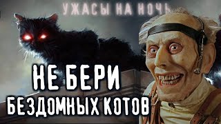 Саша Р - Не бери бездомных котов в квартиру!