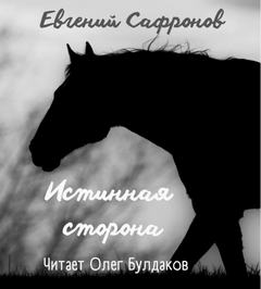 Сафронов Евгений - Истинная сторона