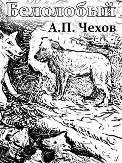 Чехов Антон - Белолобый