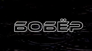 MegaHoot3000 - Бобёр