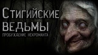 Стигийские ведьмы