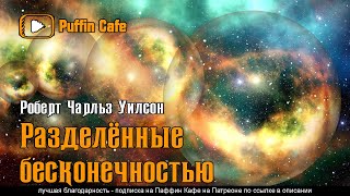 Уилсон Роберт - Разделенные бесконечностью