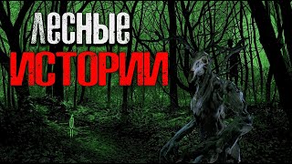 Лесные рассказы