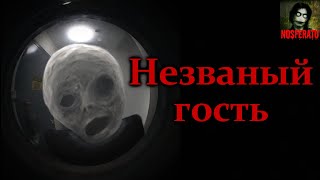 Райбер Влад - Незваный гость