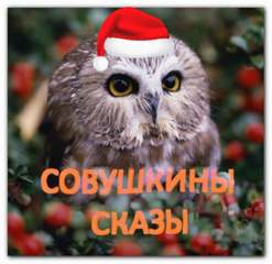 Совушка-Сонюшка - Лисичка со скалочкой
