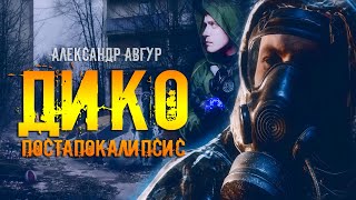 Авгур Александр - Дико