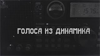 Голоса из динамика