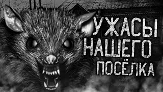 Райбер Влад - Ужасы нашего поселка!