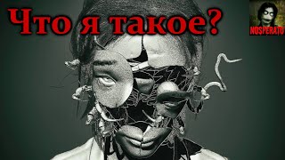 FrFr - Что я такое?