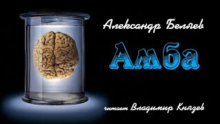Беляев Александр - Амба