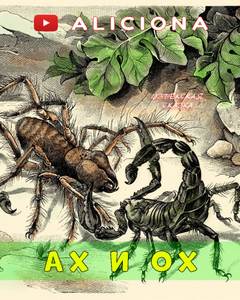 Ах и Ох
