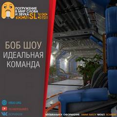 Шоу Боб - Идеальная команда