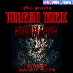 Шендеров Герман - Топливо твоих кошмаров 09. Товарняк