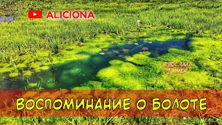 Гашек Ярослав - Воспоминание о болоте