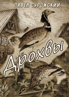 Сурожский Павел - Дрохвы