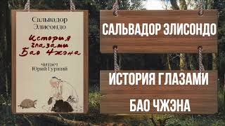 Элисондо Сальвадор - История глазами Бао Чжэна