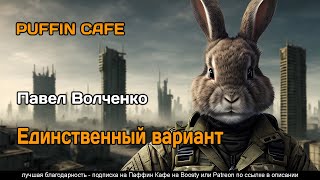 Волченко Павел - Единственный вариант