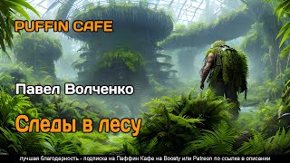 Волченко Павел - Следы в лесу