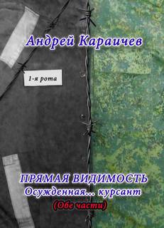 Караичев Андрей - Прямая видимость