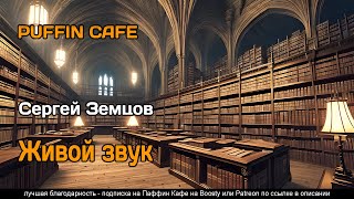Земцов Сергей - Живой звук