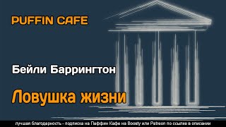 Бейли Баррингтон - Ловушка жизни